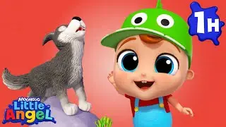 AWOO Says Mr Wolf! 🐺 Little Angel | Best Animal Videos for Kids | Kids Songs and Nursery Rhymes