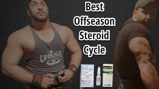 Best Offseason $teroid cycle with PCT| Best Bulking cycle | Best Deca Testa Dbol cycle | Urdu/Hindi