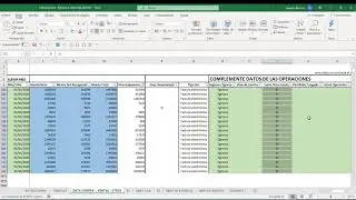 Tutorial Libro Caja  y Libro de  Ingresos y Egresos (ex 14 ter) con datos RCV planillascontables.cl