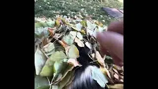 Odd mixture of pets ￼