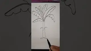 Easy Banana tree 🍌 drawing for kids #kidsvideo#kidstv#kids#shorts#diy#satisfyingvideo#ytshortsfeed