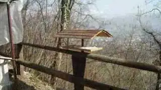 La mia casera