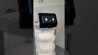 autonomous waiter robot