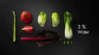 Mastery Range | Humidity Control - Flavor Best Preserved