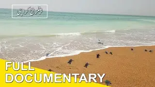 DOCUMENTARY | History of Turtle Beach Karachi | Historical and Discover Beach Video | Turtles Beach