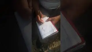 Bridge survey full video