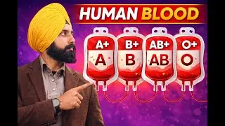 Blood || || PSTET Physical Education || Hostel Suptd Cum PTI || DPE || NVS || KVS ||