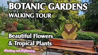 DARWIN NT AUSTRALIA 🇦🇺 BOTANIC GARDENS WALKING AND SIGHTSEEING TOUR 2024 BEAUTIFUL FLOWERS & PLANTS
