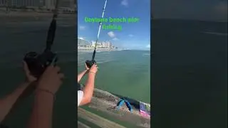 Daytona beach fishing #pier fishing #greatday