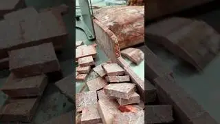 Amazing frozen meat cutting machine with exports man#shorts