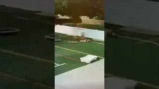 Return of the Ghost Dog