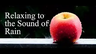 Rain Sounds for Relaxing, Studying, or Background Ambience