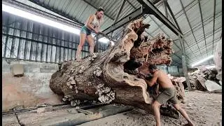 Black trembesi wood worth $2500 sold to an Australian sultan sawmill 