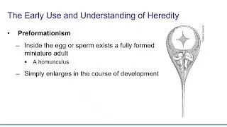 Pierce Chapter 1 Introduction Lecture Part 2 History of Genetics