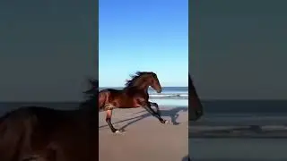 When beauty comes out of instinct