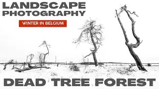 Landscape Photography in the Most Remote Location of Belgium. OM System OM-1