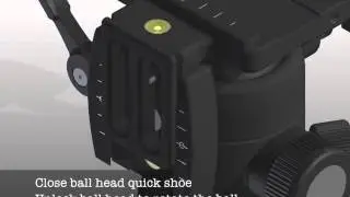 Markins BV Head User Guide