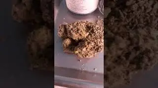 Blue Skywalker Og Kush cannabis Review