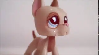 Lps Mep: Netflix trip Part 27 (cessupetshops)