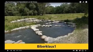 Die Fischtreppe vom Bertoldsheim an der Donau