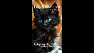 Kitten 