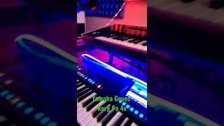 Yamaha Genos & Korg pa 4x