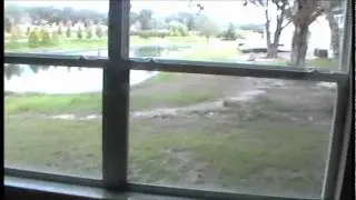 Egret Landing