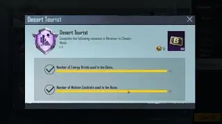 Number Of Molotov Cocktails Used In Ruins Miramar Achievement Desert Tourist