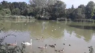 Eastfield Park (Northampton)