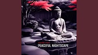 Ambience Nightscape