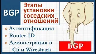 6.3 BGP Border Gateway Protocol. Часть 3. Аутентификация. Этапы установки соседских отношений