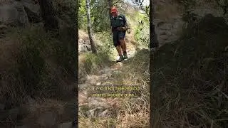 Exploring the Gorgeous Scenery of Cim Corvatelles on Foot