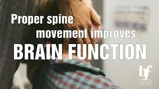 Spine movement improves brain and nervous system function explained by Gonstead chiropractor