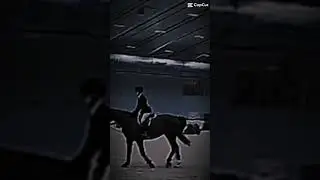 Every horse deserves love, no matter how their round was #equestrian #horseshowing