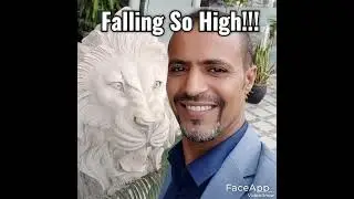 Falling So High!!! By Shokry Al-Qubati 