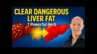 This Herb Helps Your Liver Clear Out Fat and Repair Itself Naturally| Dr. Mandell