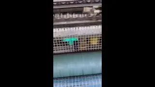 Basalt fiber geogrid production in shipment