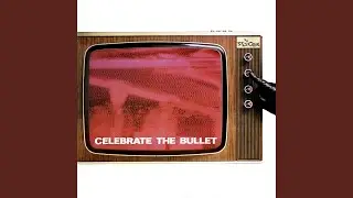 Celebrate the Bullet