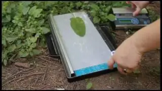 How the CI-202 Portable Laser Leaf Area Meter works!