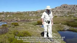 Mt Field National Park - Tasmania 1080p