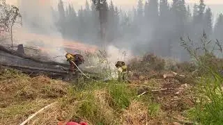 Spot Fires: Washington DNR Crew working - Goldstream Creek Fire - July 2nd
