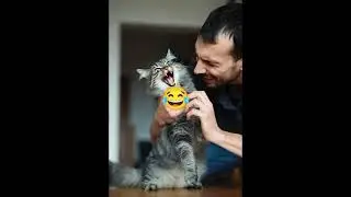 Cat Behaviour with Girls Vs Boys 