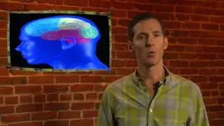 The Importance of Sleep on Wellness for Realists