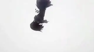 AMV_Абсолютный дуэт