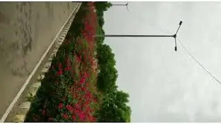 Campus tour academic block to gate no. 1, Central University of Haryana