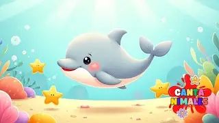 🐬🐳🐢🐙 Canción educativa del mar – Música infantil llena de alegría