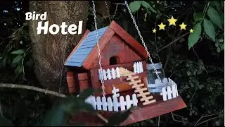 Cheap DIY Birdhouse made from scratch! Only hand tools used!