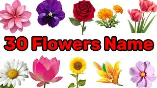 30 Flowers name in Hindi and English with pictures | flowers | फूलों के नाम #FLOWER
