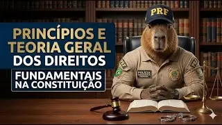 Princípios e Teoria Geral dos Direitos Fundamentais na Constituição