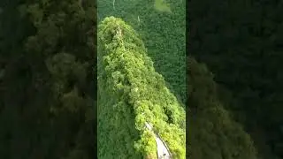 Enjoy the beauty of nature in 15 seconds 🌹